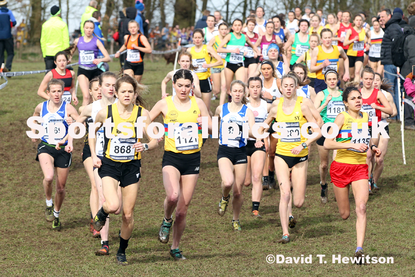 Senior women, 2020 British Athletics Inter Counties Cross Country Champs., Prestwold Hall, Loughborough. Photo: David T. Hewitson/Sports for All Pics